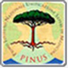 Istituto PINUS